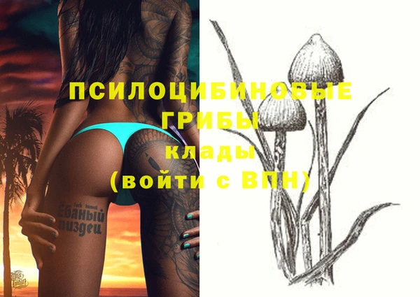 дживик Верхний Тагил