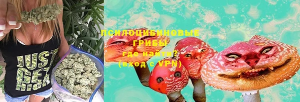 дживик Верхний Тагил