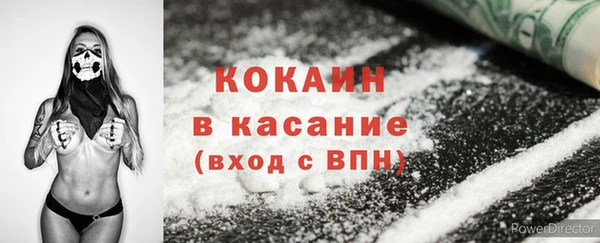 прущие грибы Вяземский
