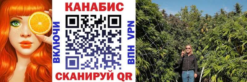 Конопля план  darknet как зайти  Норильск 